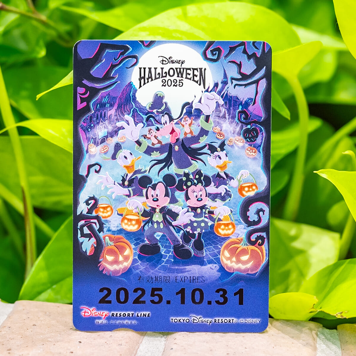 ディズニーリゾートライン　フリーきっぷ2