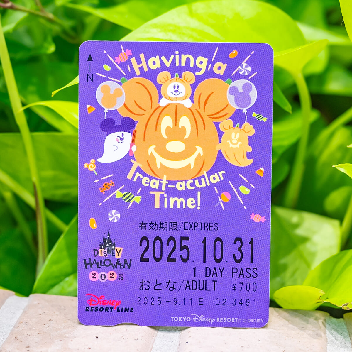 ディズニーリゾートライン　フリーきっぷ3