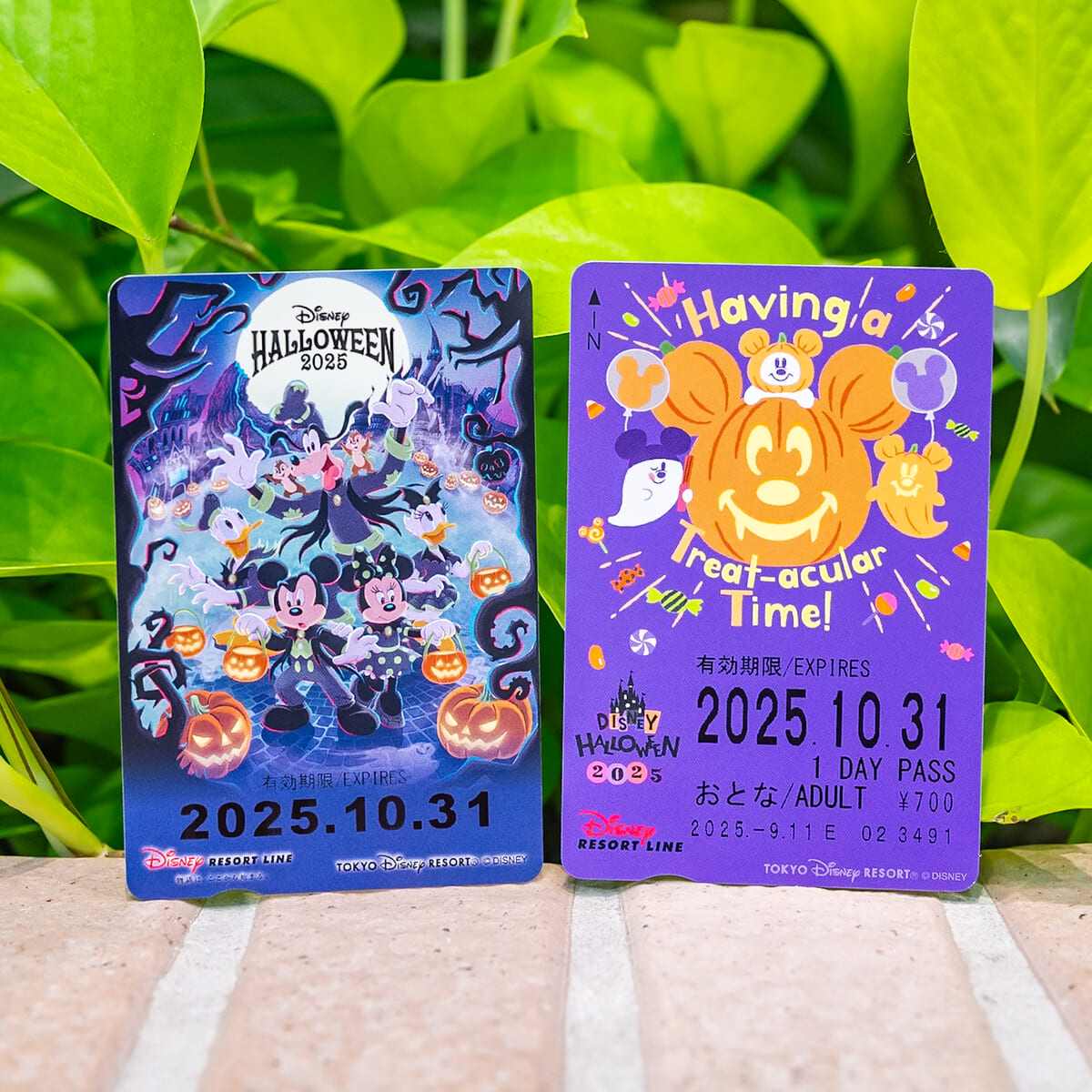 ディズニーリゾートライン　フリーきっぷ