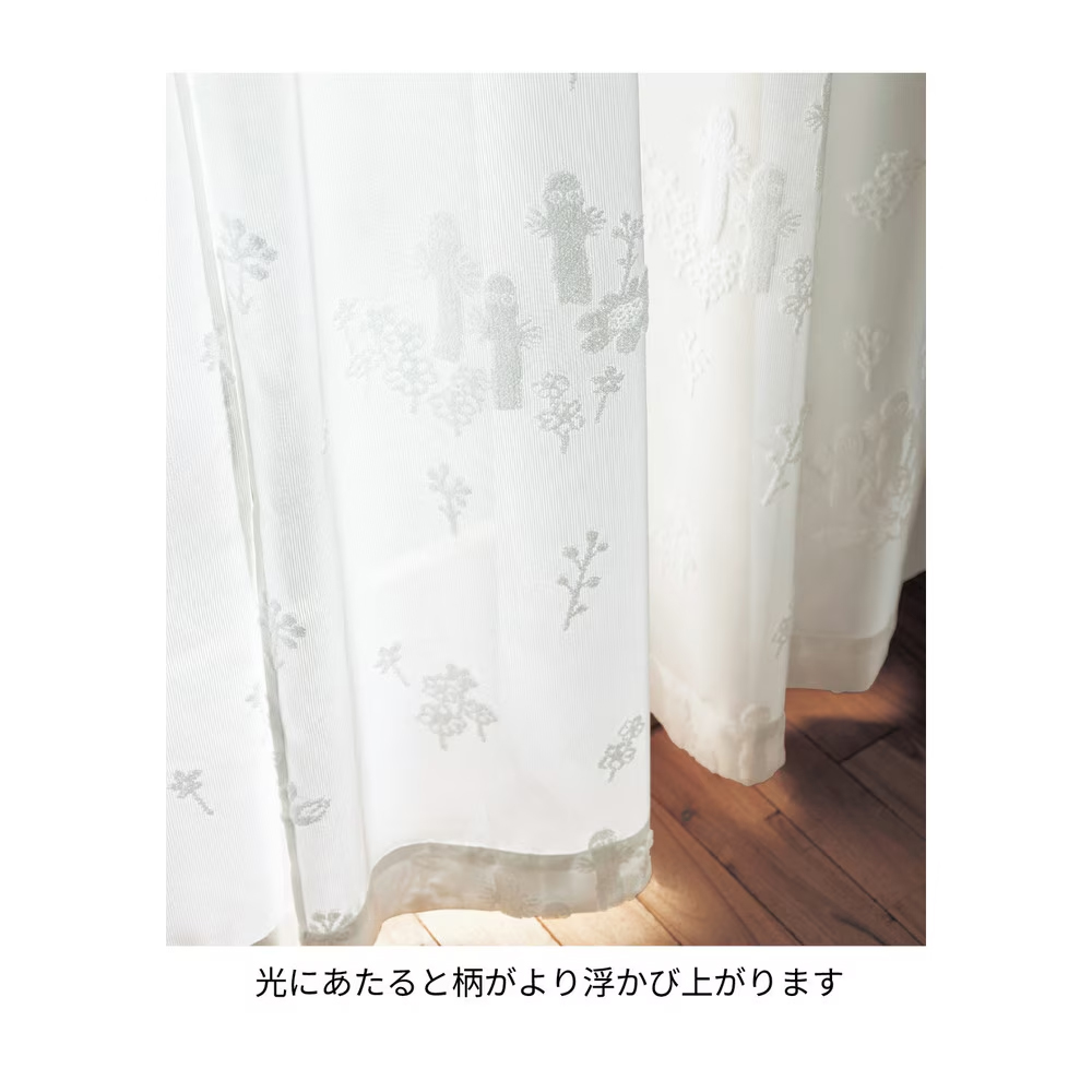日に当たると模様が映える