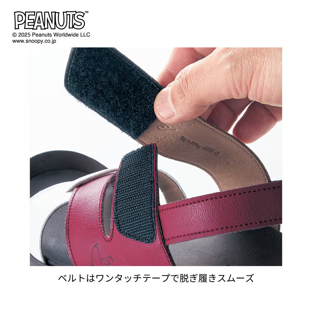 ワンタッチテープのベルト