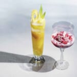 フルーツフローズンカクテル