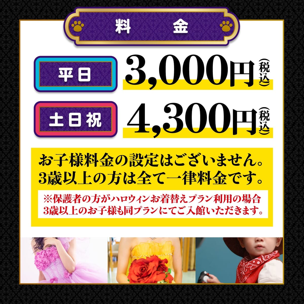料金