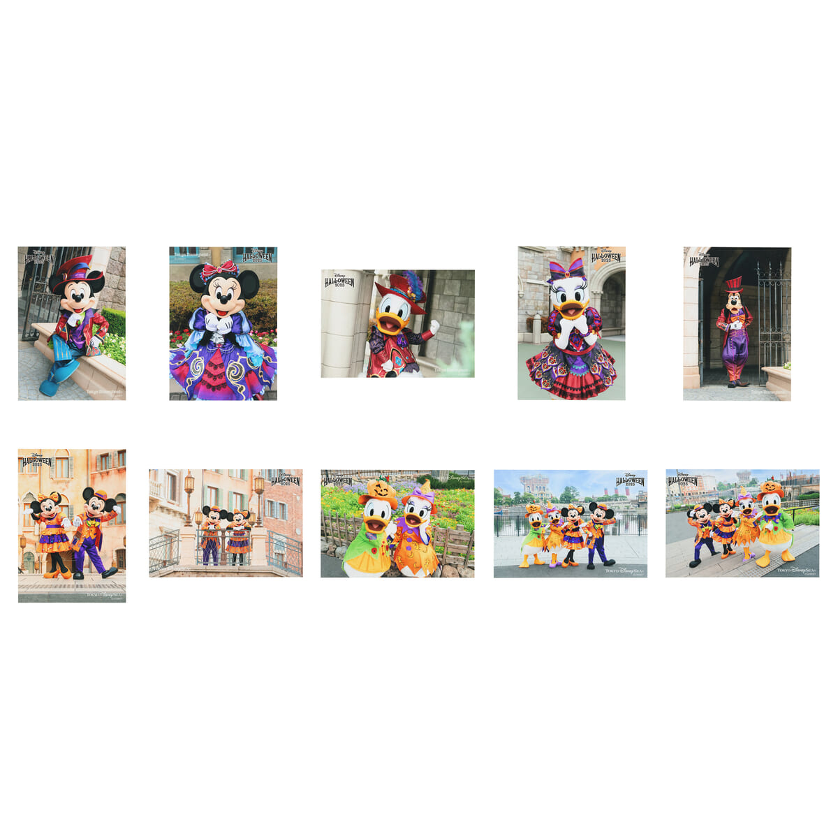 写真セット