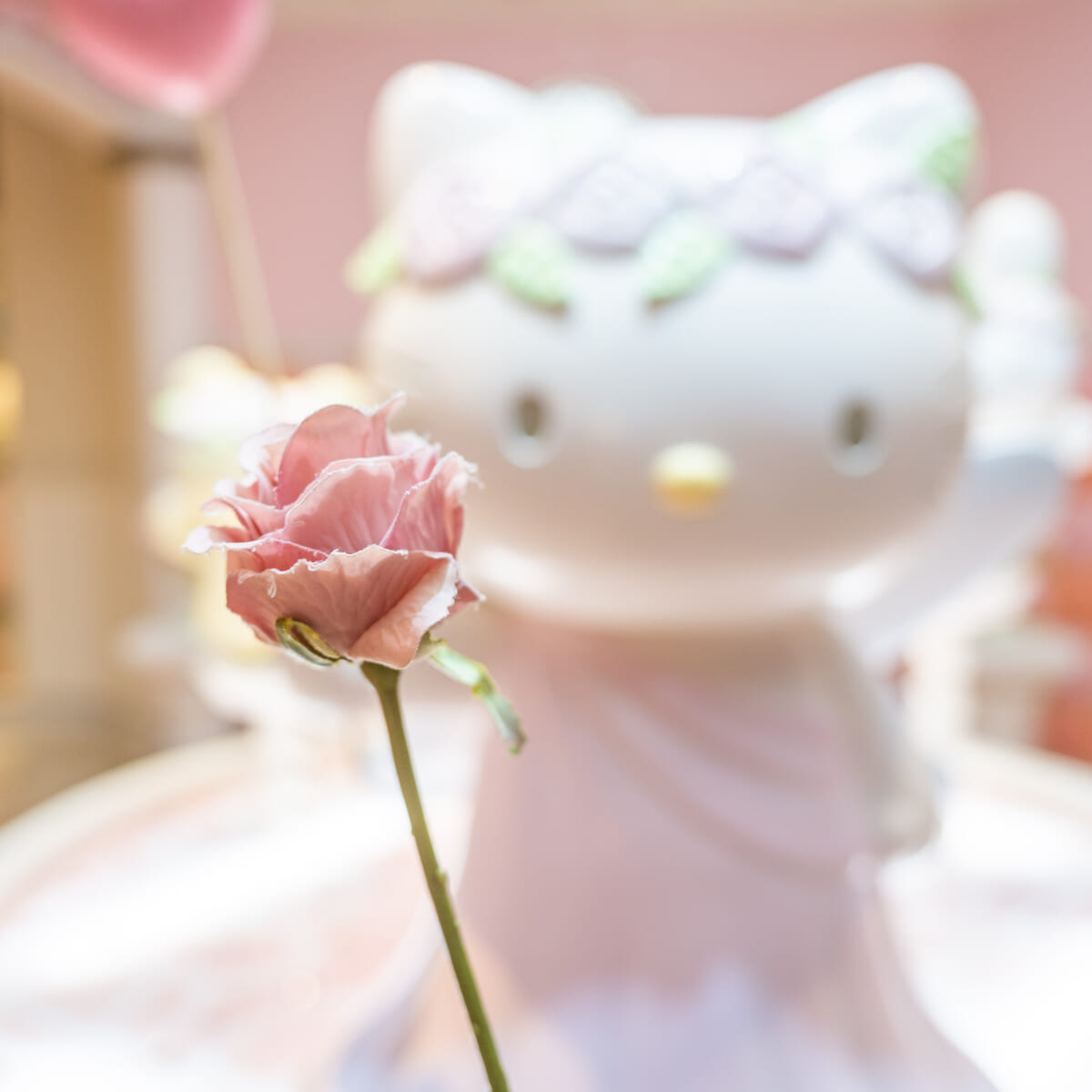 キティにお花をプレゼント2