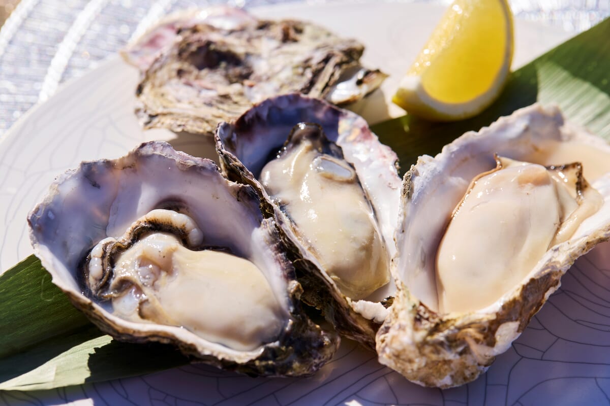 牡蠣食べ比べ3種