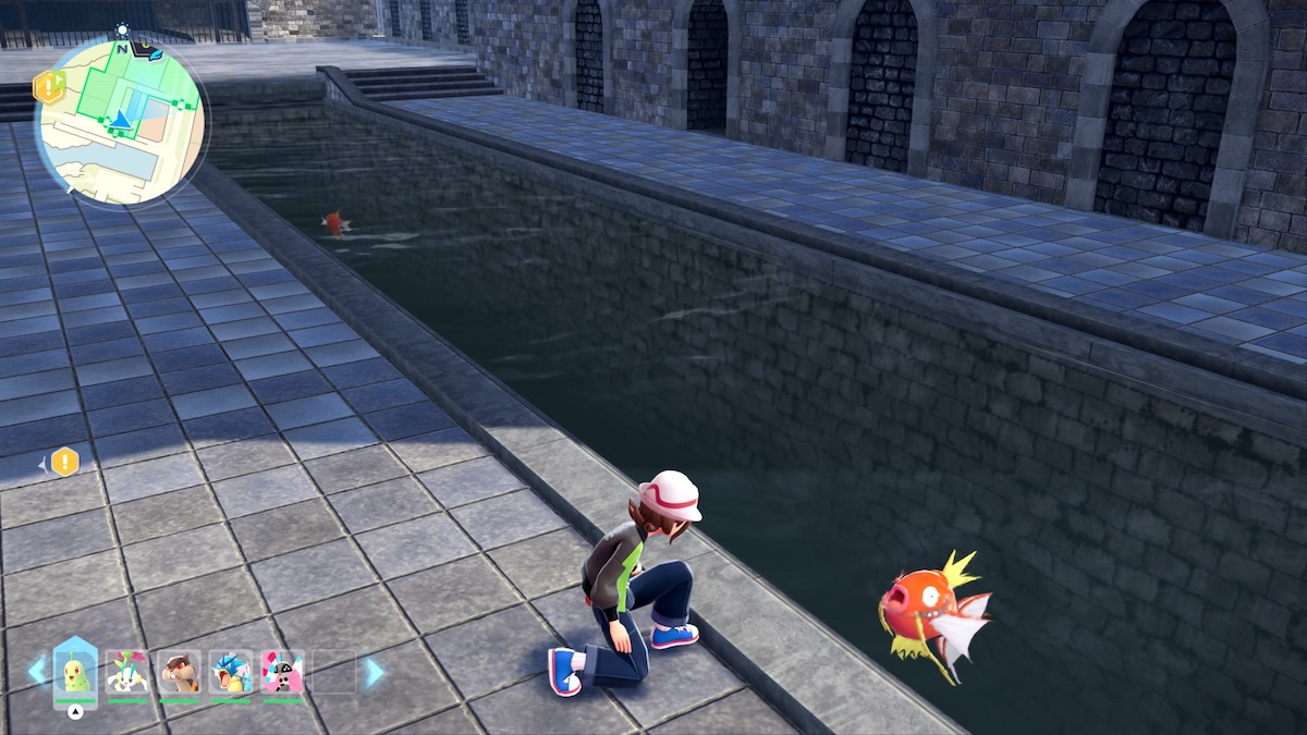 昼は「ワイルドゾーン」でポケモンの捕獲＆育成！