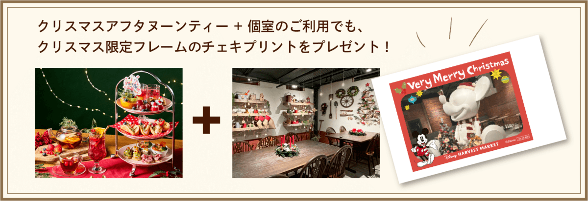 セレブレーションプラン001