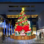 クリスマスツリー