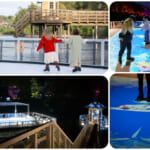 ムーミン谷のスケートリンク on The LAKE