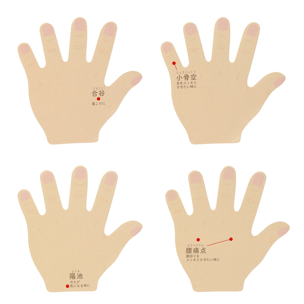 手の甲 身体（内容1）