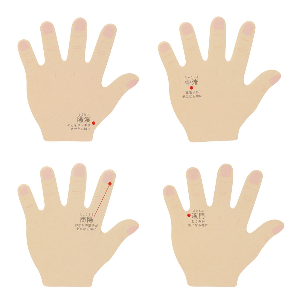 手の甲 身体（内容2）