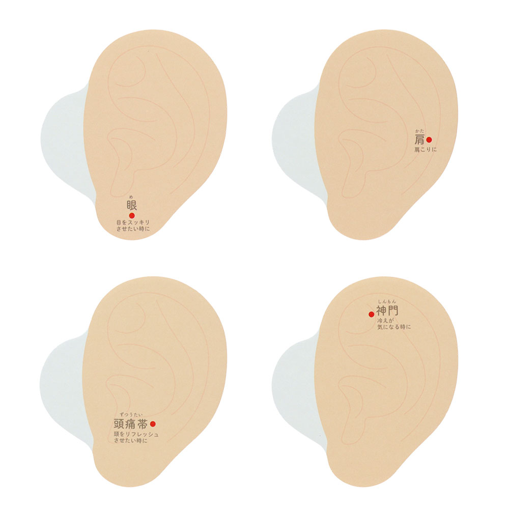 耳 身体（内容1）