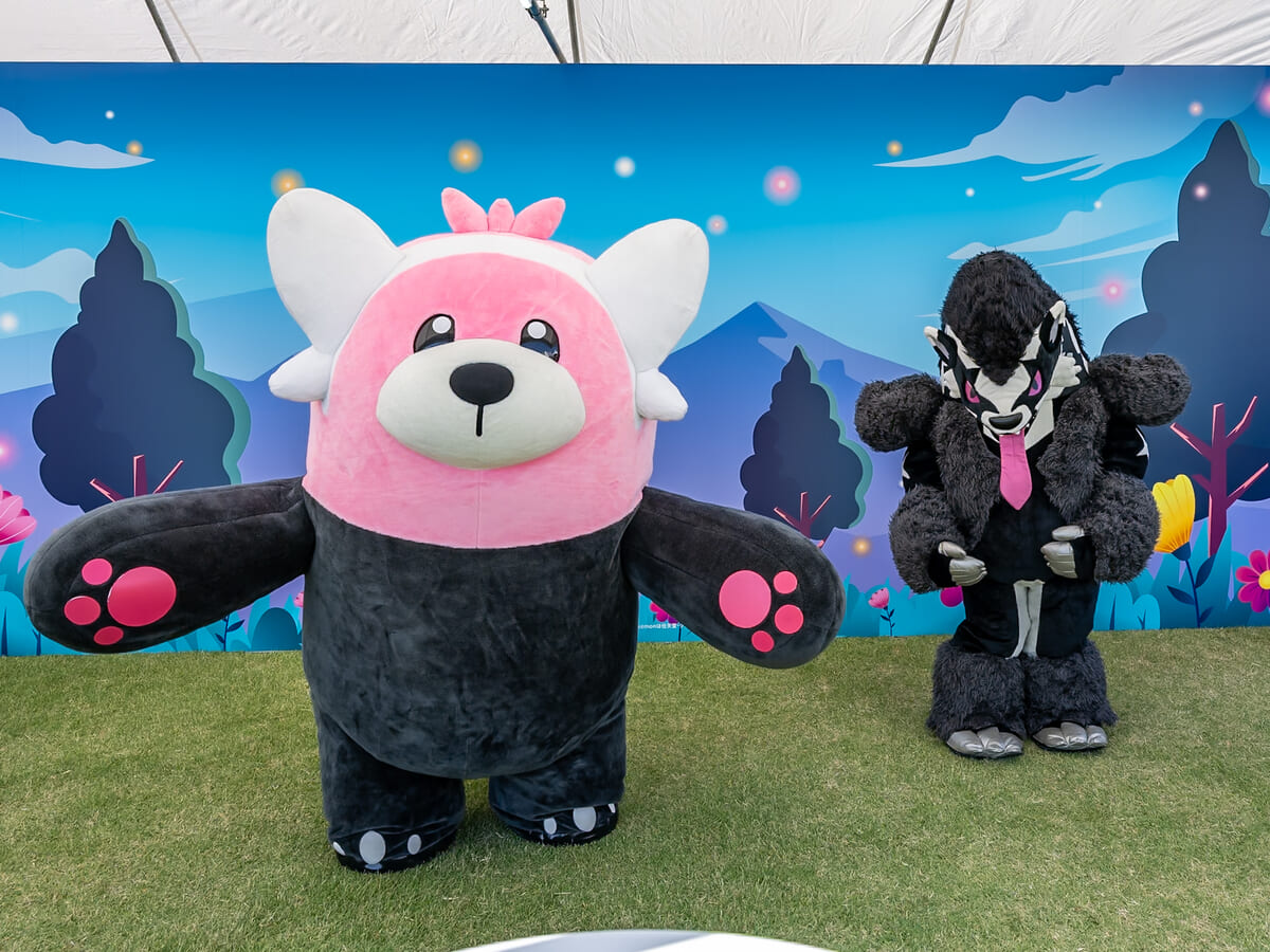 キテルグマとタチフサグマ