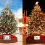 イクスピアリ　ディズニー映画最新作『ズートピア２』クリスマスツリー