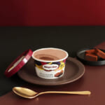 ハーゲンダッツ ミニカップ「ガナッシュショコラ」