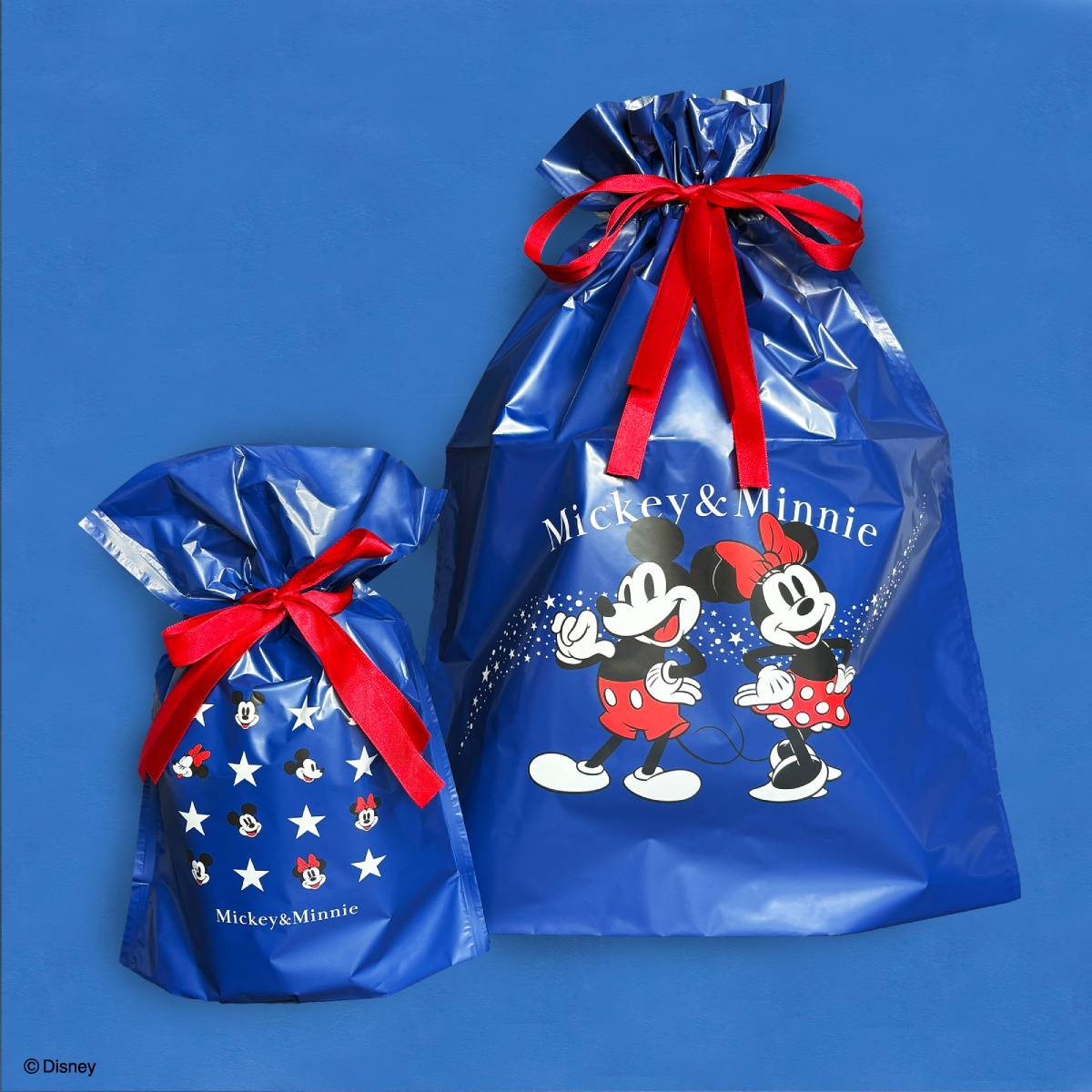 ギフトバッグS／ギフトバッグM