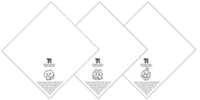 中華まんパッケージ