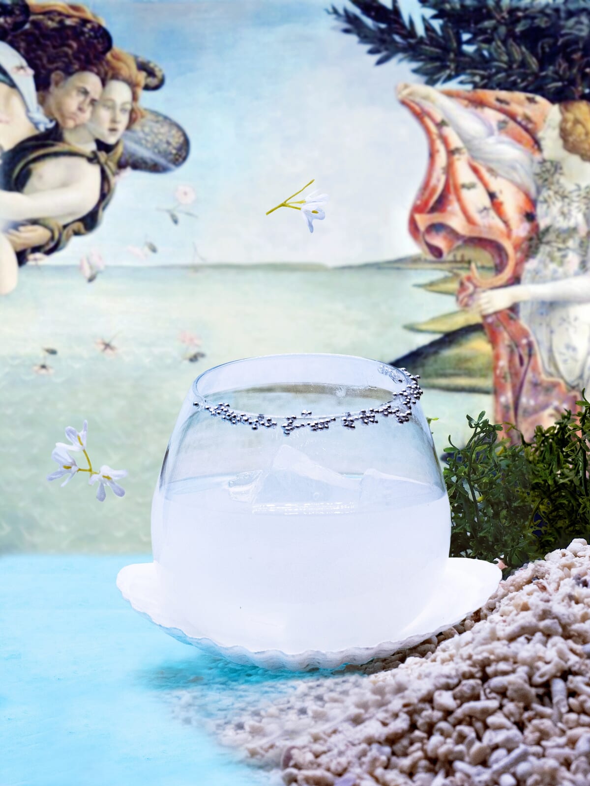 Venus-ヴィーナス-