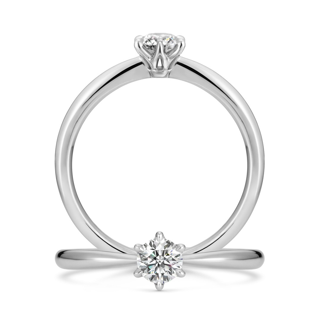 Caterina Colte -カテリーナ・コルテ-