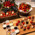 アロフト東京銀座「The WAREHOUSE」いちごの収穫祭