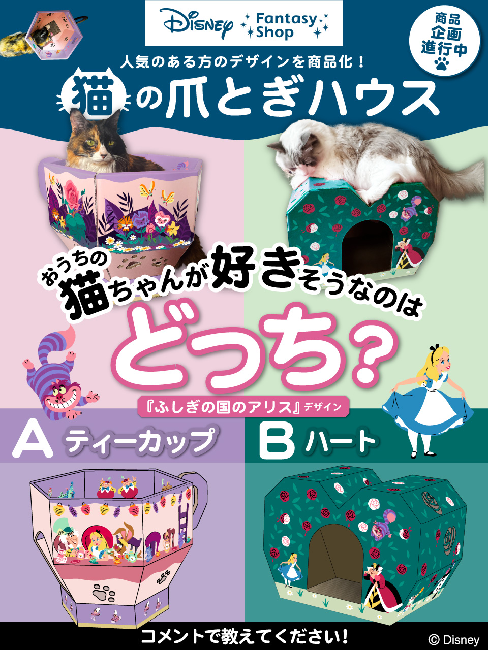 アンケートを実施