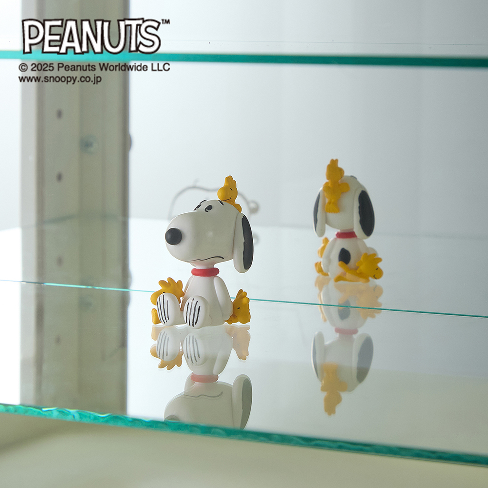 背面ミラーの卓上コレクションケース2