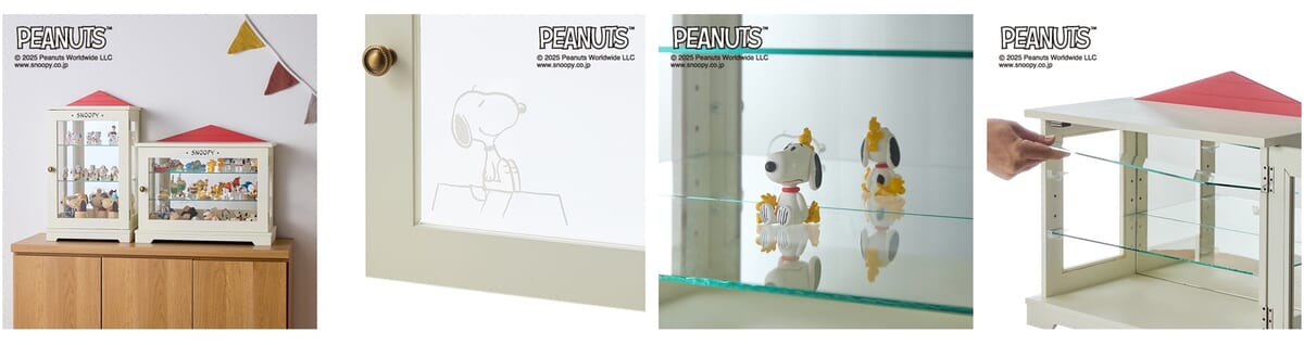 背面ミラーの卓上コレクションケース