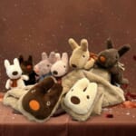 ショップの新作商品