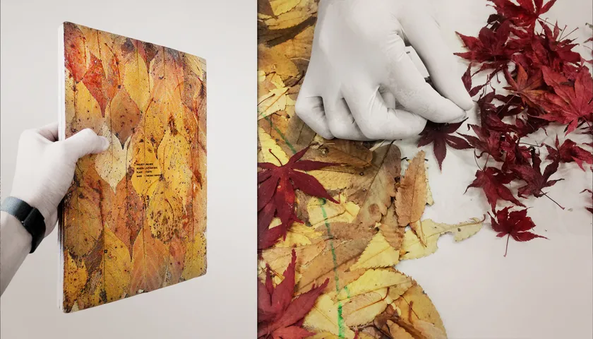 Bio-Vide(バイオ・バイド) Bio-Vide(バイオ・バイド)