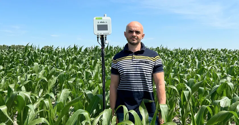 トウモロコシ畑に設置されたe-kakashiと、イヴァン・フランコ記念リヴィウ国立大学のPatsula准教授 トウモロコシ畑に設置されたe-kakashiと、イヴァン・フランコ記念リヴィウ国立大学のPatsula准教授