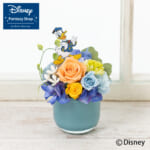 セレブレーション・フラワー（ドナルドダック）