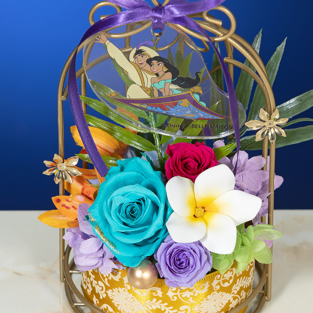 Magic carpet（アラジン）全体