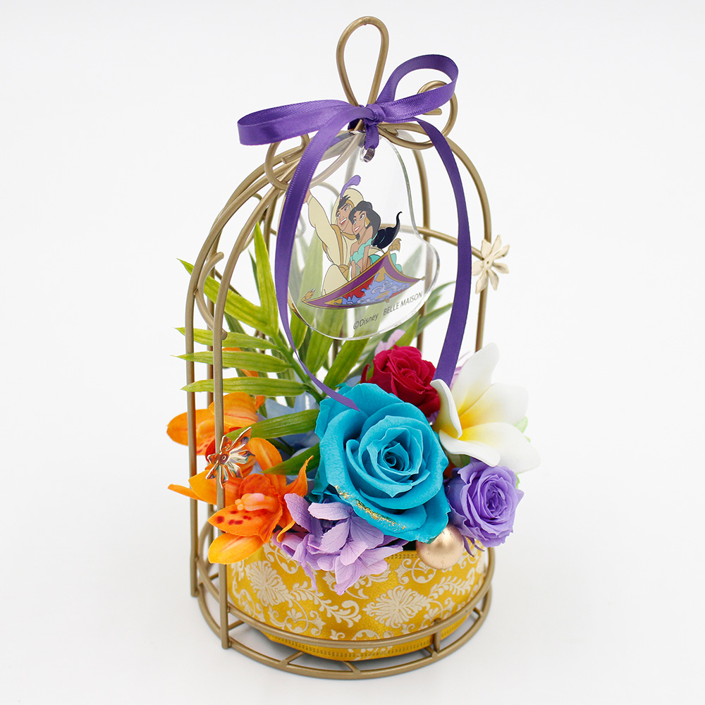 Magic carpet（アラジン）　バックスタイル