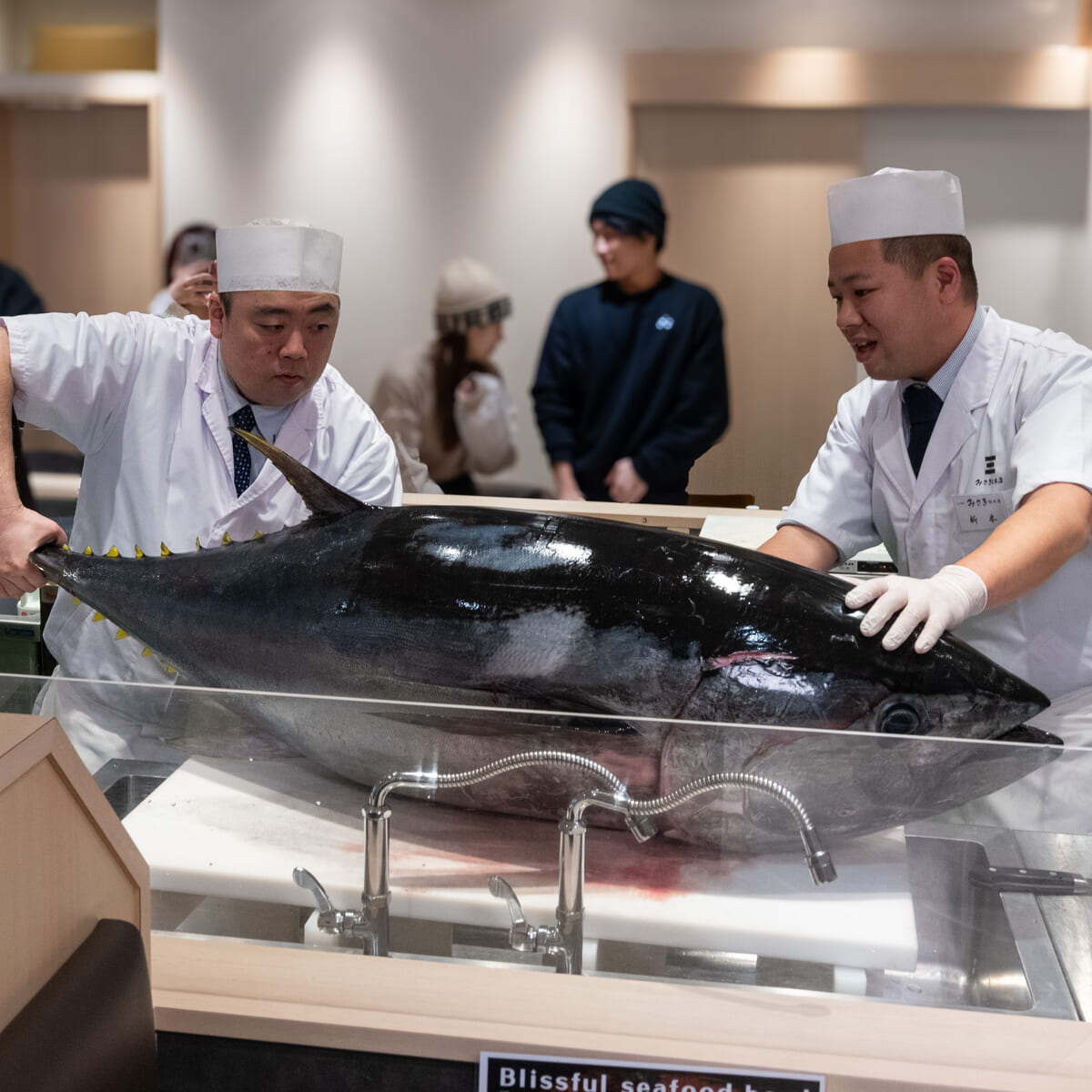 新春!生本まぐろ解体ショー