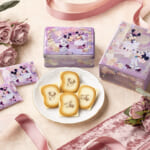 Disney SWEETS COLLECTION(ディズニー スイーツコレクション) by 東京ばな奈「スターライトセレナーデ」第2弾『スターライトセレナーデ/ショコラサンド「見ぃつけたっ」』メイン