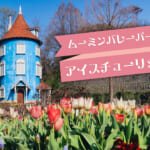 ムーミンバレーパーク「チューリッパのテラス」