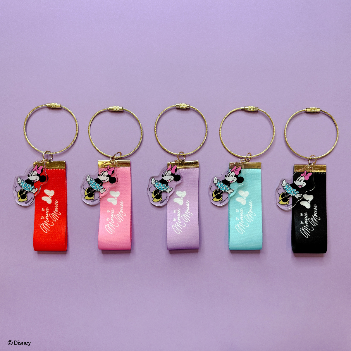 ワイヤーキーホルダー