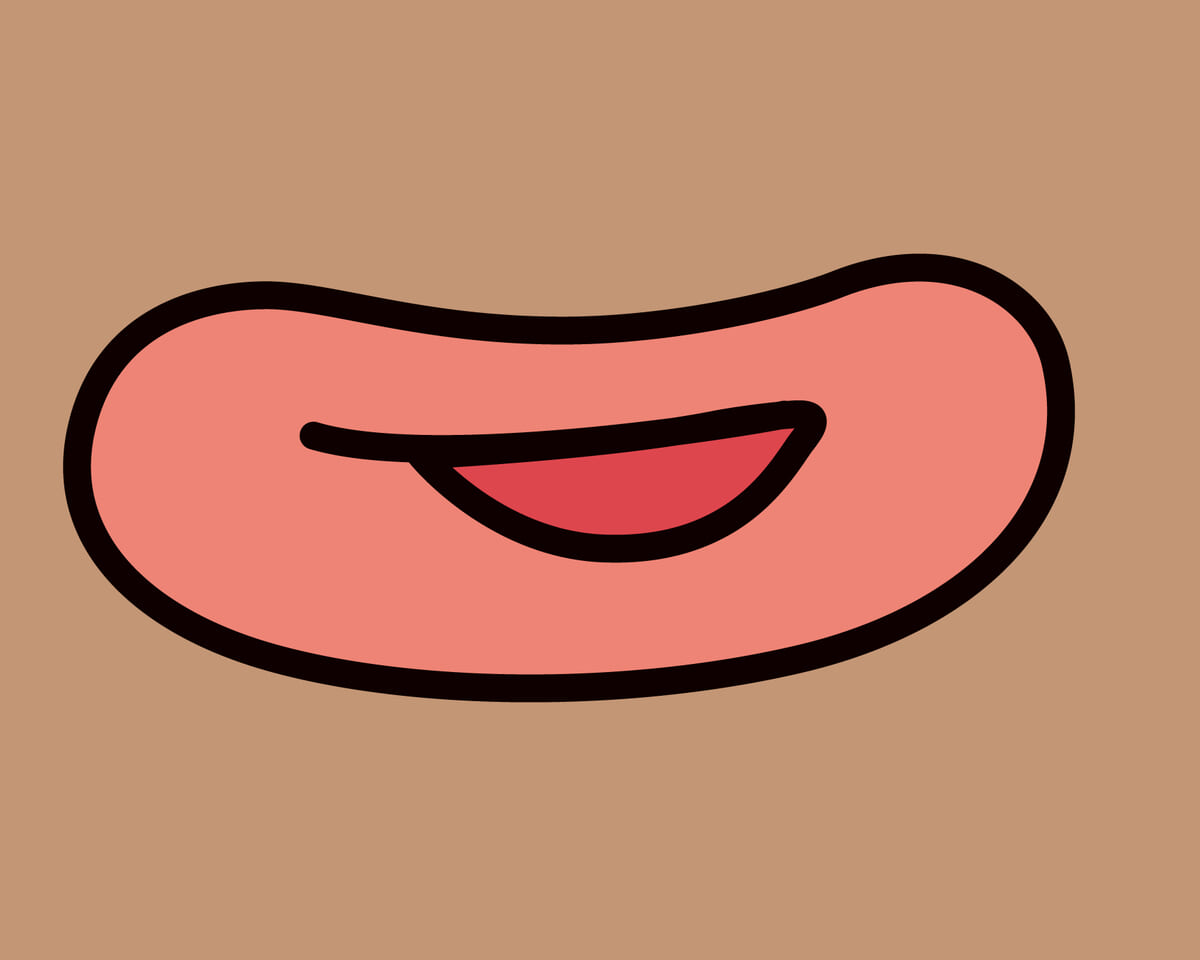 チョコジローカタラーナタルト　袋裏面　イメージ