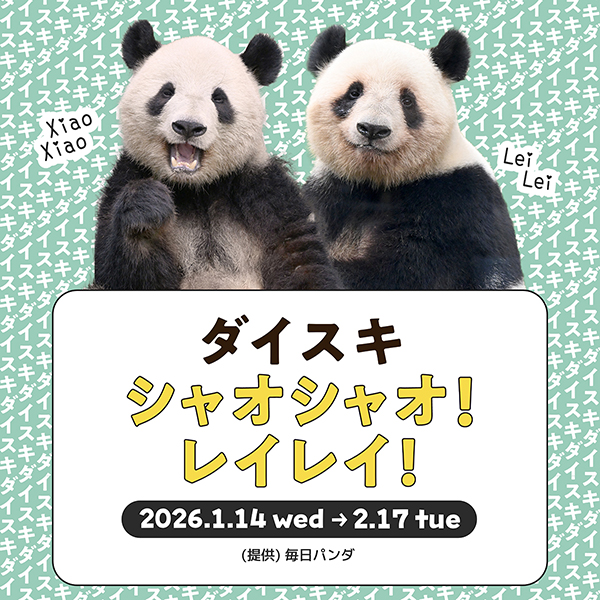 ダイスキ シャオシャオ！レイレイ！