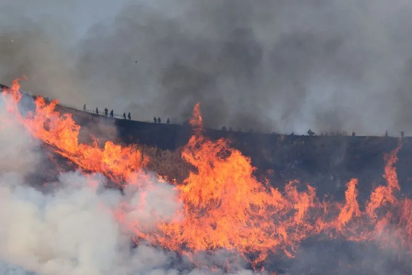 大室山の斜面全体を炎が包む全山焼き