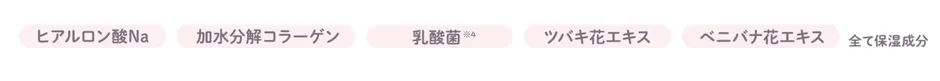 5つの保湿成分を示す成分バナー