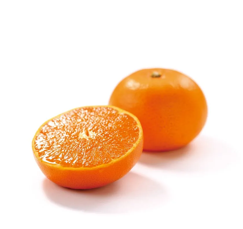 高級柑橘せとかの果実と断面