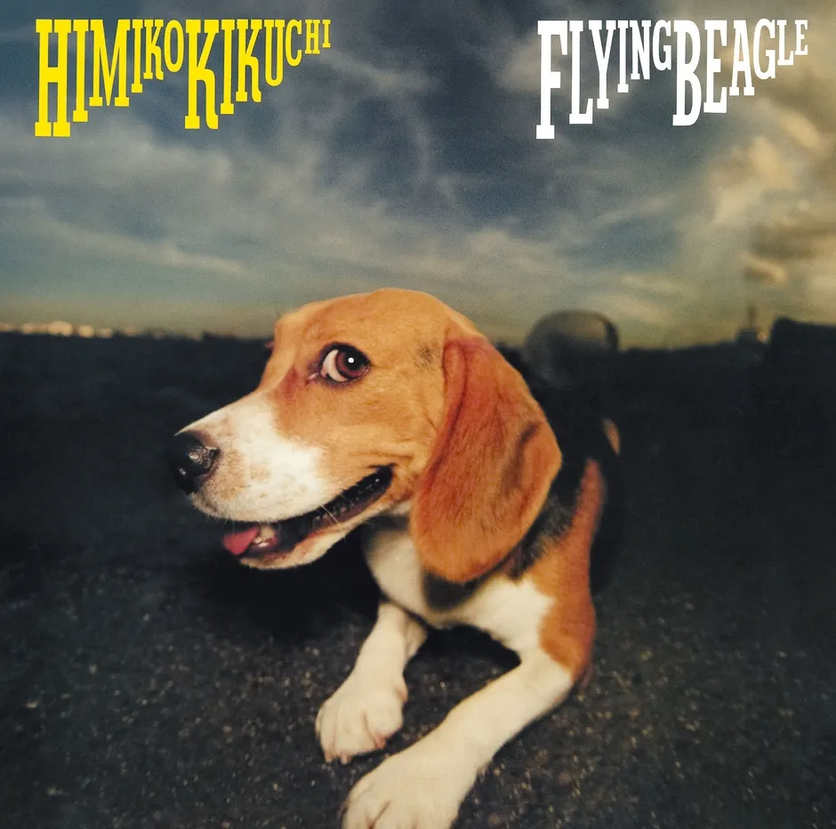 菊池ひみこのアルバムFlying Beagleのジャケットビジュアル