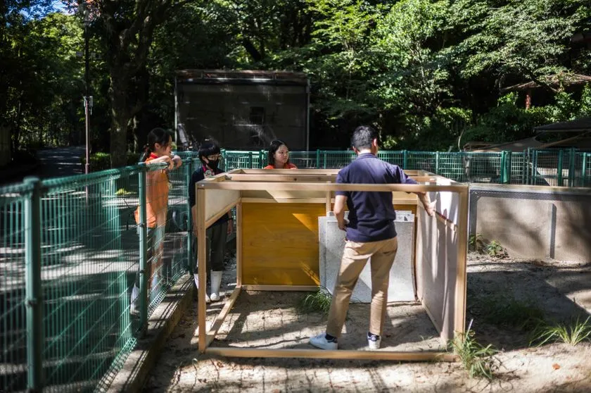 スタッフがヤマアラシ小屋を施工する様子