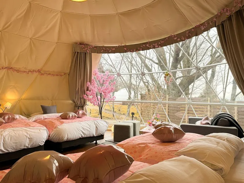 桜装飾のドームテントで楽しむインドアお花見