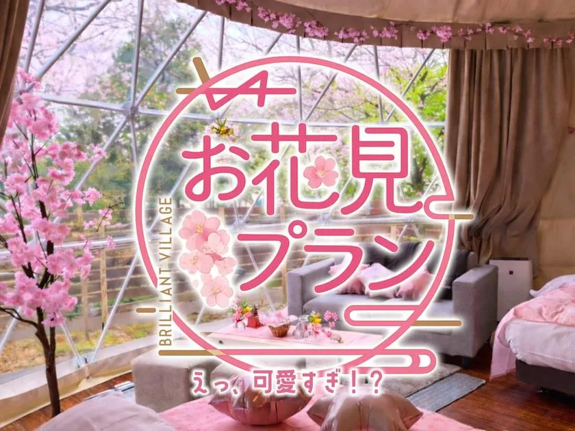 桜色の室内装飾で楽しむお花見プラン告知ビジュアル