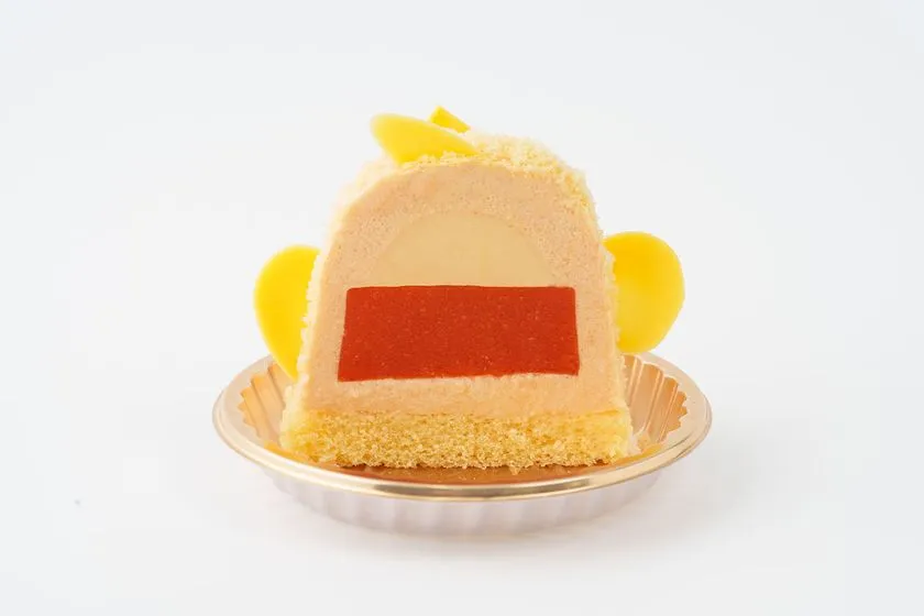 温泉ぴよりん断面の多層構造