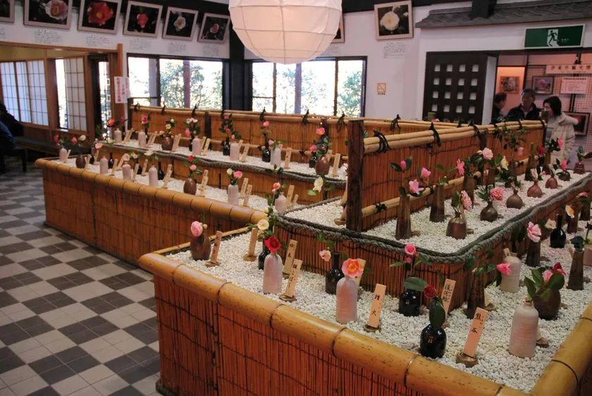 つばきの館で行われる椿の一輪挿し展示