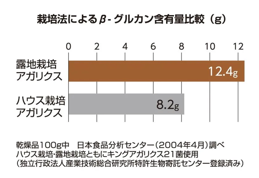 露地栽培とハウス栽培のβ-グルカン含有量比較グラフ